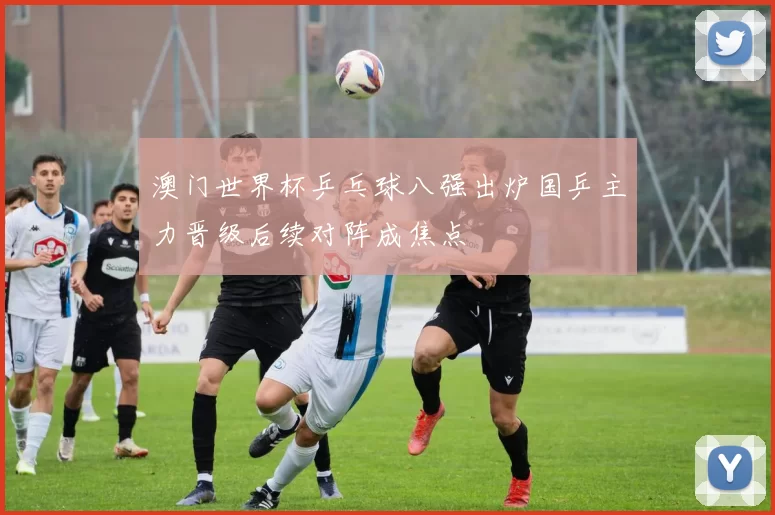 澳门世界杯乒乓球八强出炉国乒主力晋级后续对阵成焦点