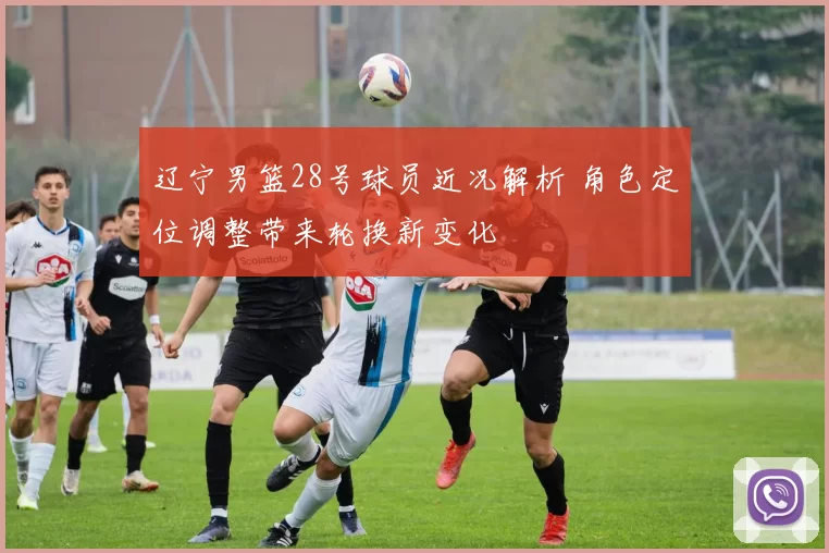 辽宁男篮28号球员近况解析 角色定位调整带来轮换新变化