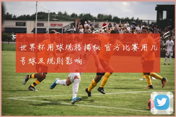 世界杯用球规格揭秘 官方比赛用几号球及规则影响